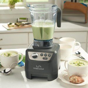 vida sana blender new princess house